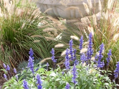 RearFlowers