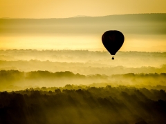 shutterstock_155501102